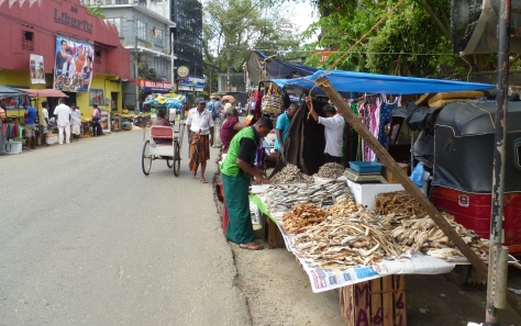 dried fish and rickshaw